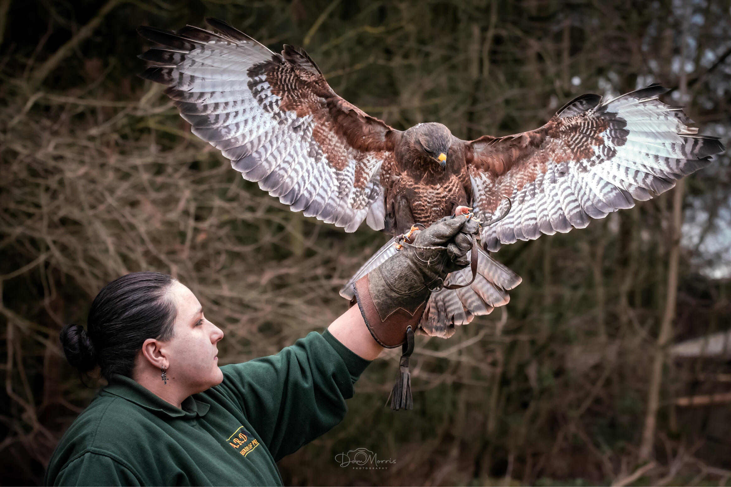 alice of a.r.d birds of prey